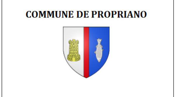 Acte de naissance  Propriano