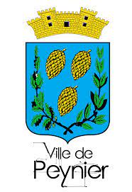 mairie-logo-map
